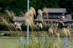 八ケ岳PA ③