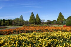 花ファンタジア①