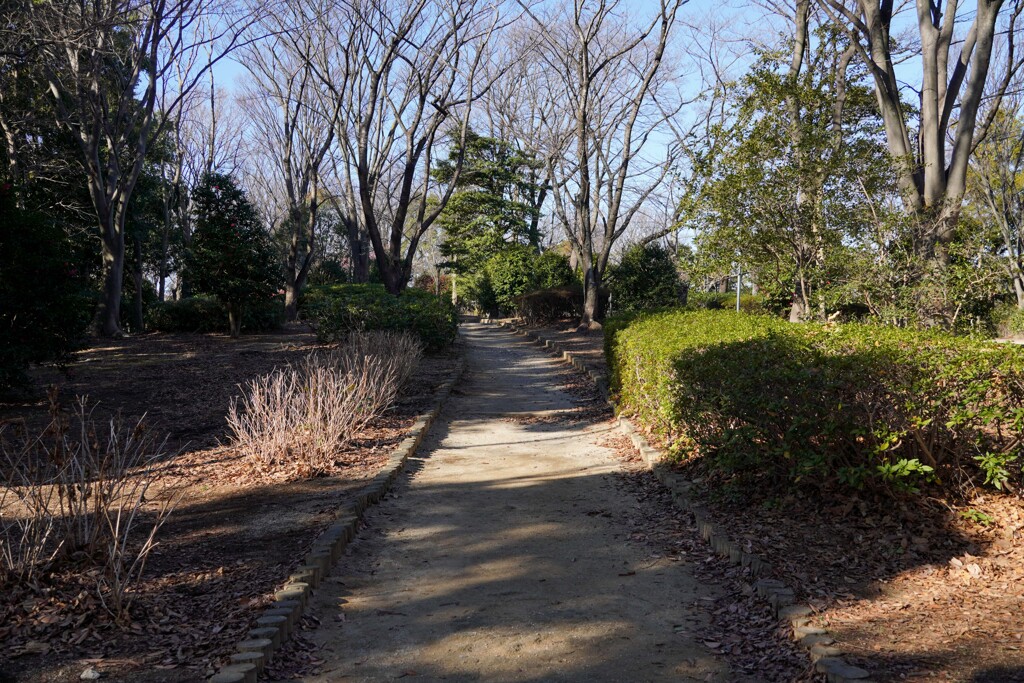 冬の公園①