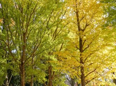 半分、青い。(*^-^*)