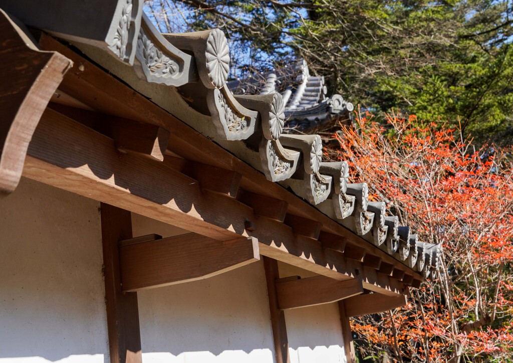 初冬の山門