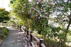 終焉間近