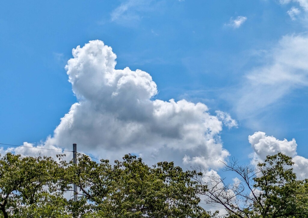 夏空