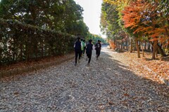 年末Run