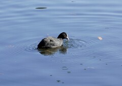 狙いすまして ➔ 結果