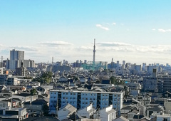 窓外