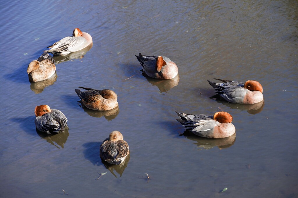 みんなで休憩中
