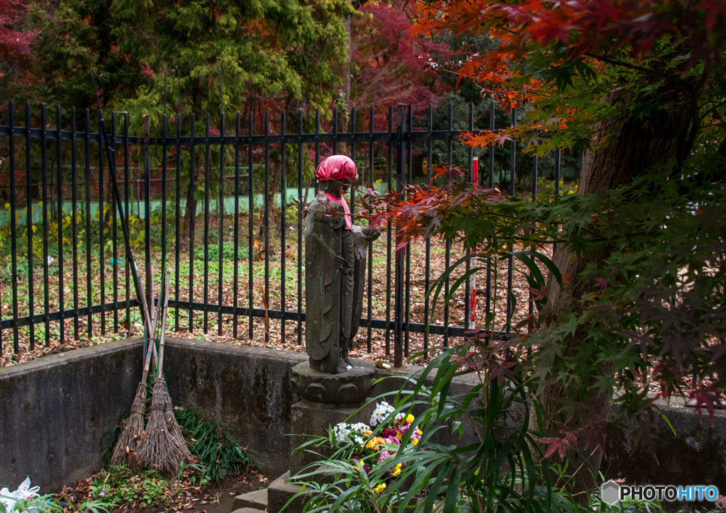 最後の黄葉・紅葉②