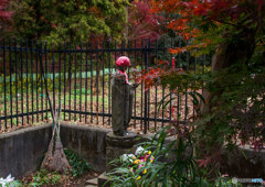 最後の黄葉・紅葉②