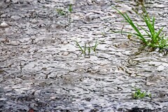 水溜り模様①
