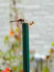 お気に入りの場所②