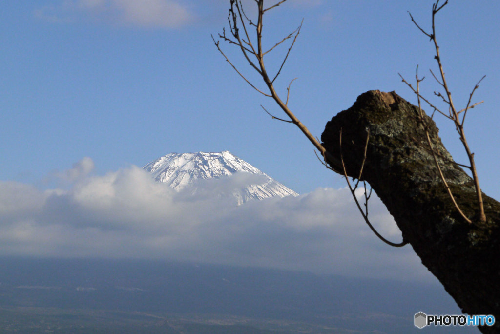 ふもとっぱら②