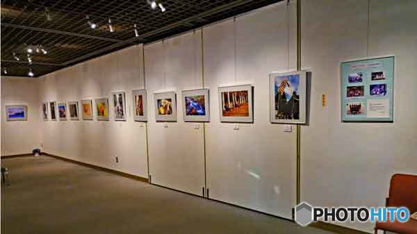 所属クラブの写真展