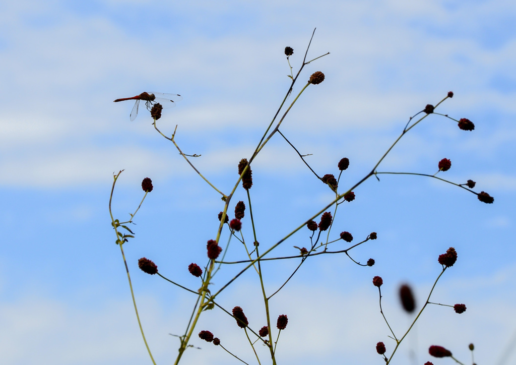 居心地の良い場所③