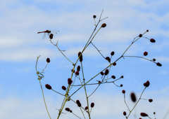 居心地の良い場所③