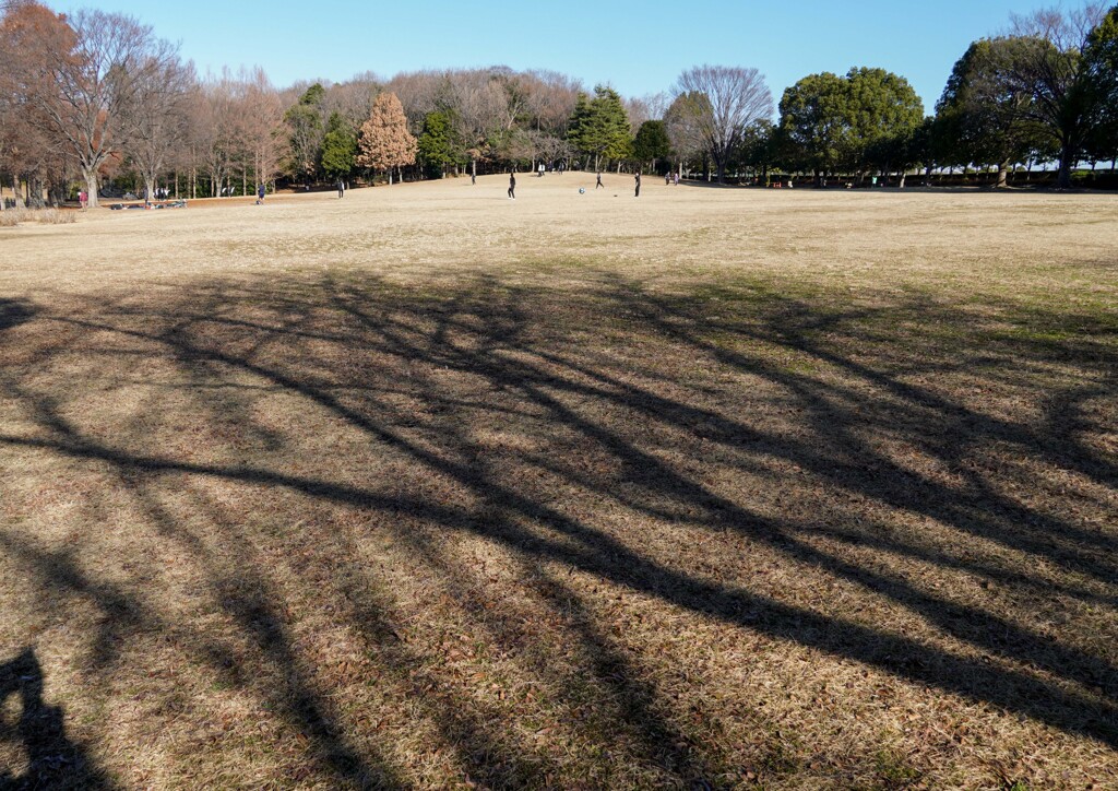 冬景色②