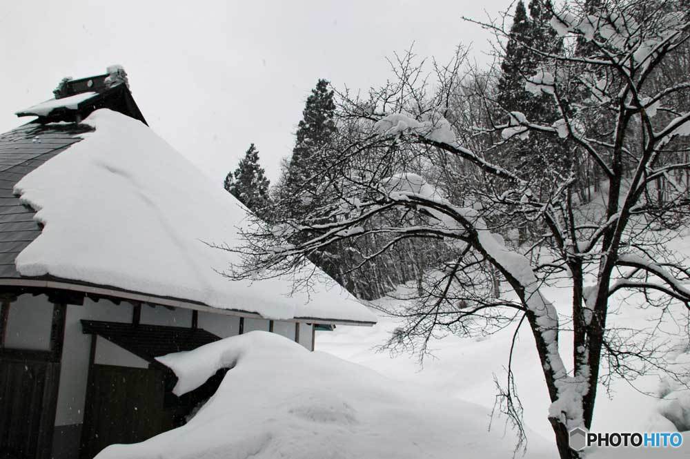 雪景色②