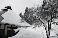 雪景色②