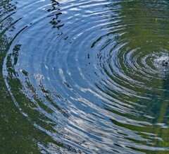 波紋