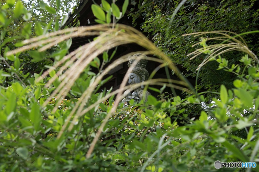 秋の気配③