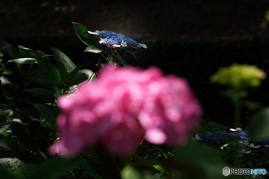 控えめ