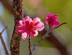 存在