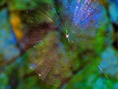 いじりまくった結果