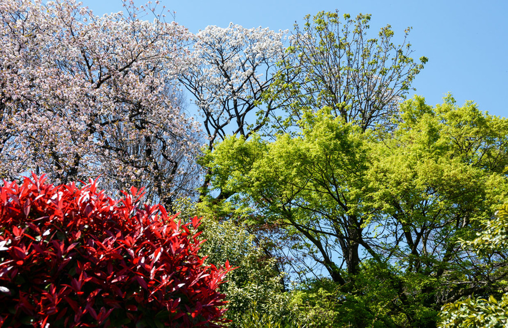 みんな元気だよー！