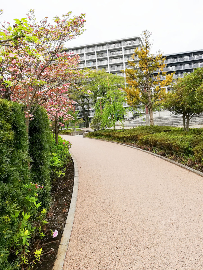 大学へ続く道