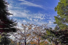 ホームパーク②