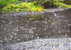 水溜り模様②