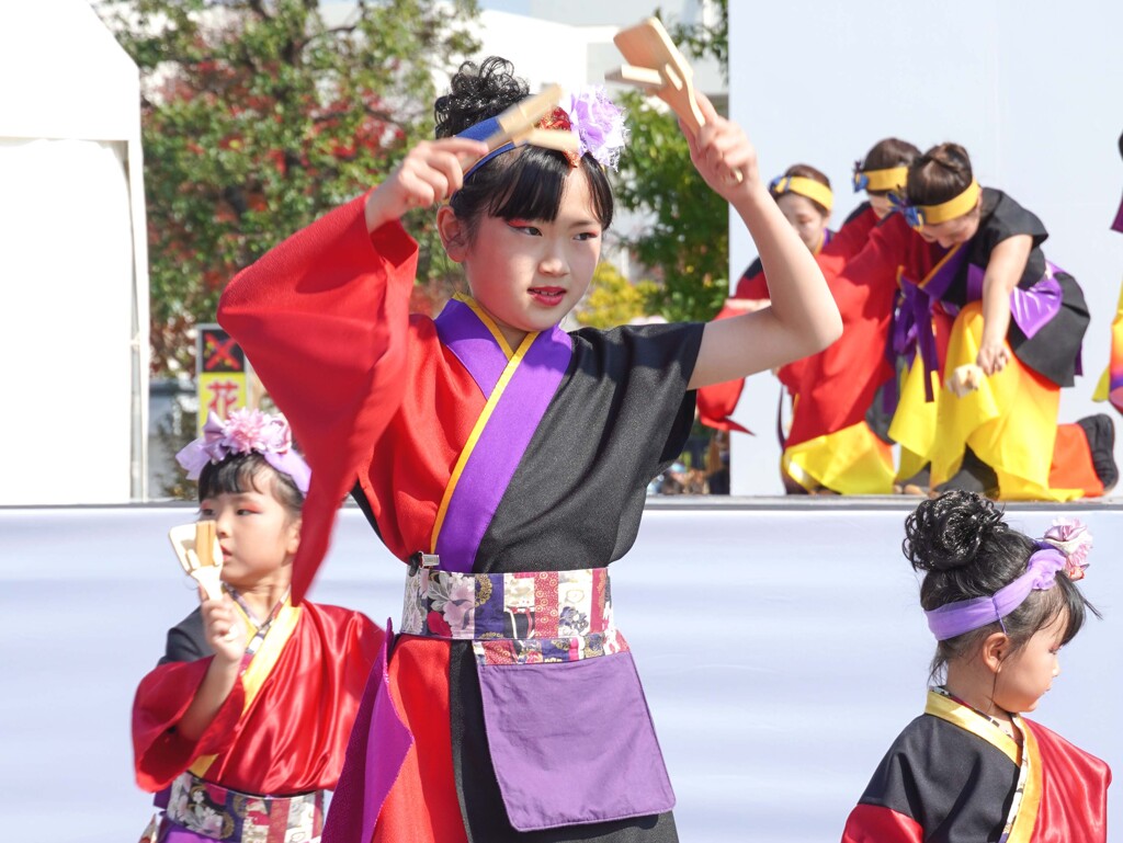 よさこい⑤