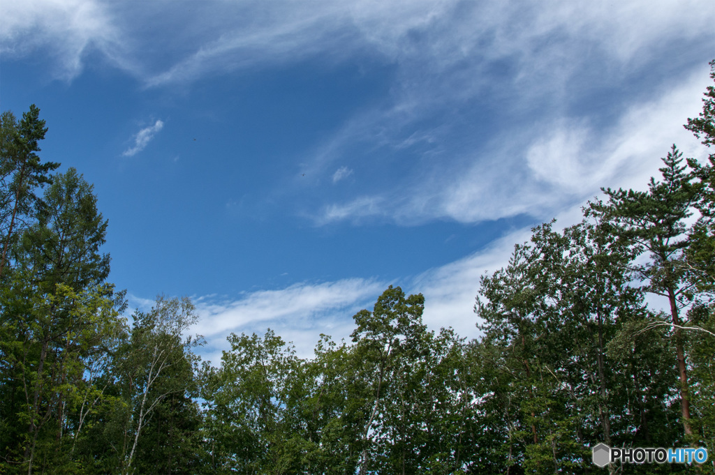 秋空