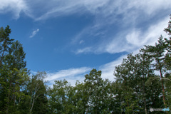 秋空