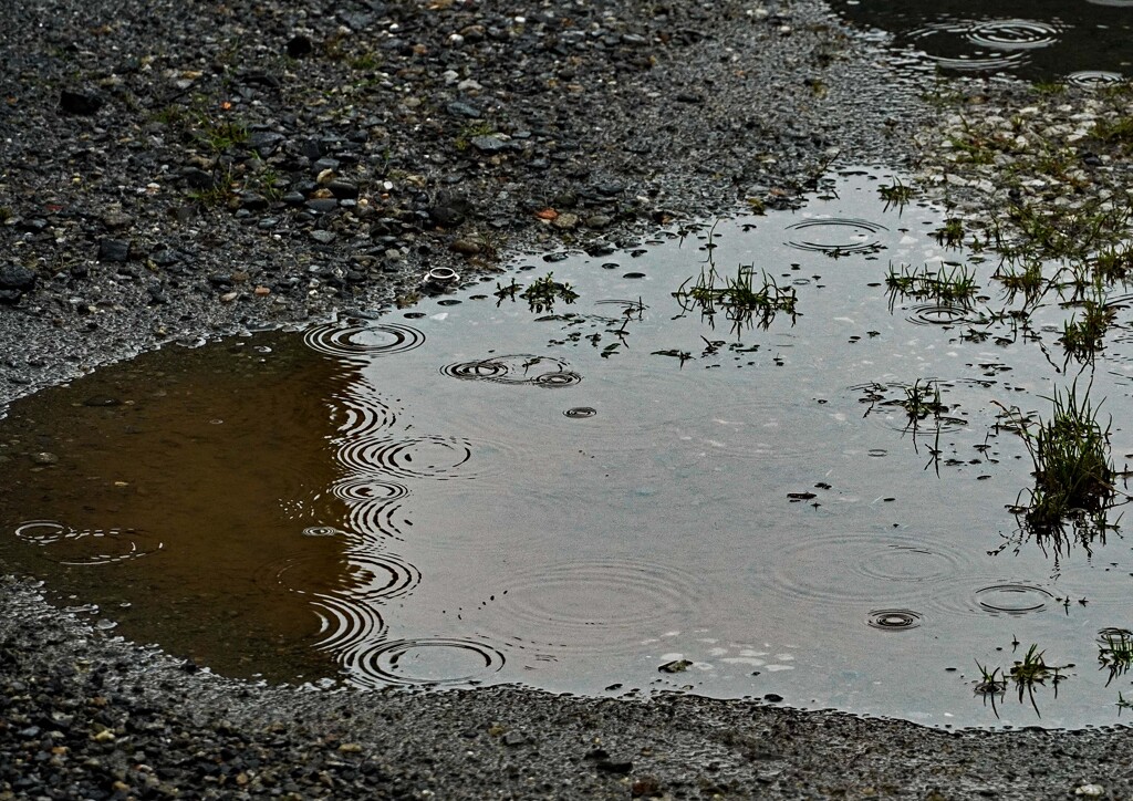 梅雨