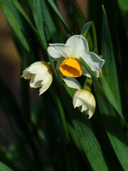 寒さにめげず①