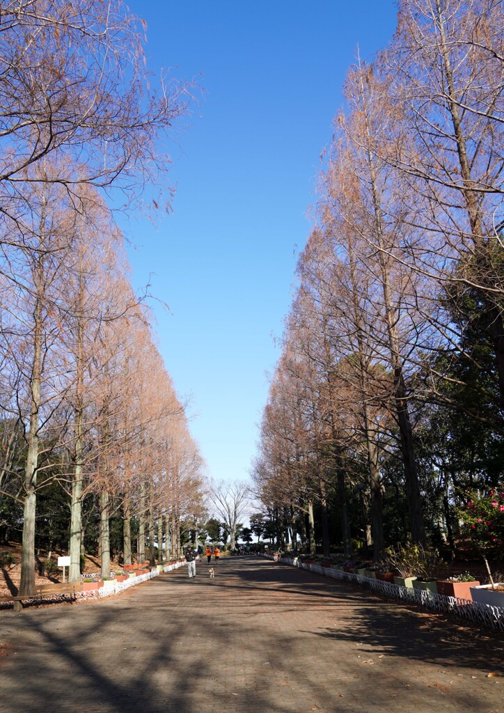 冬景色①