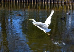 今日はもう帰り！