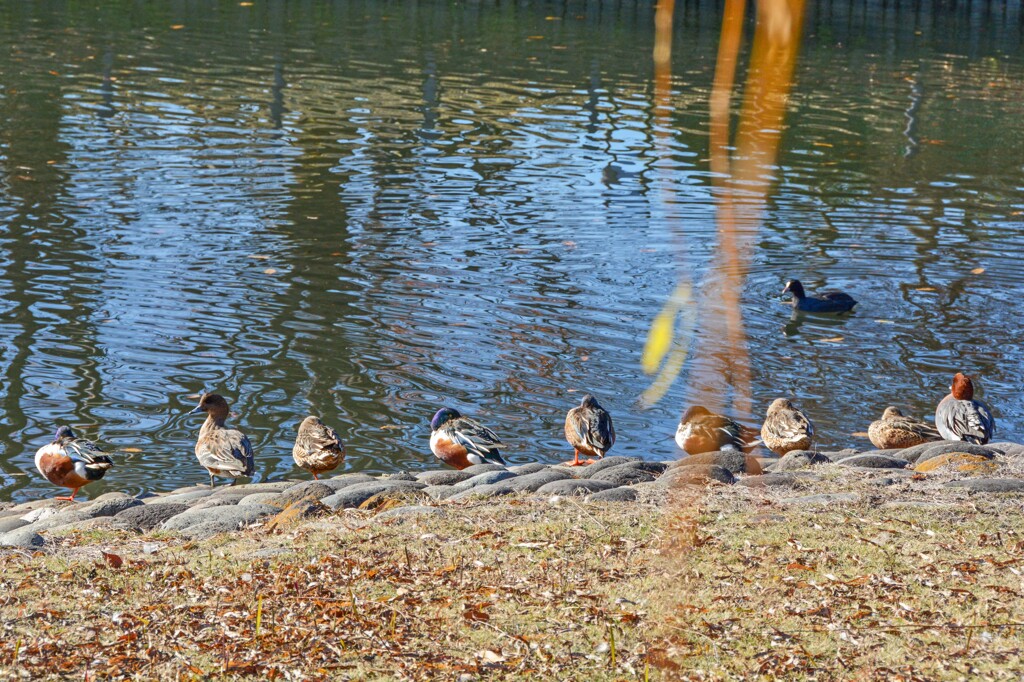 それぞれの休憩