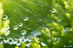 雨上がり