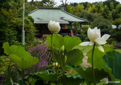 夏の終わり