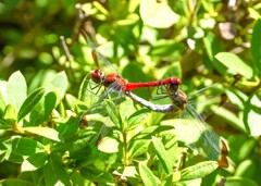 冬になっちゃうよ～！
