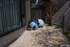 雨のち晴れ
