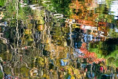 ゆらめきの刻①