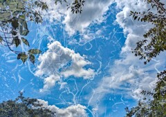 夏空③