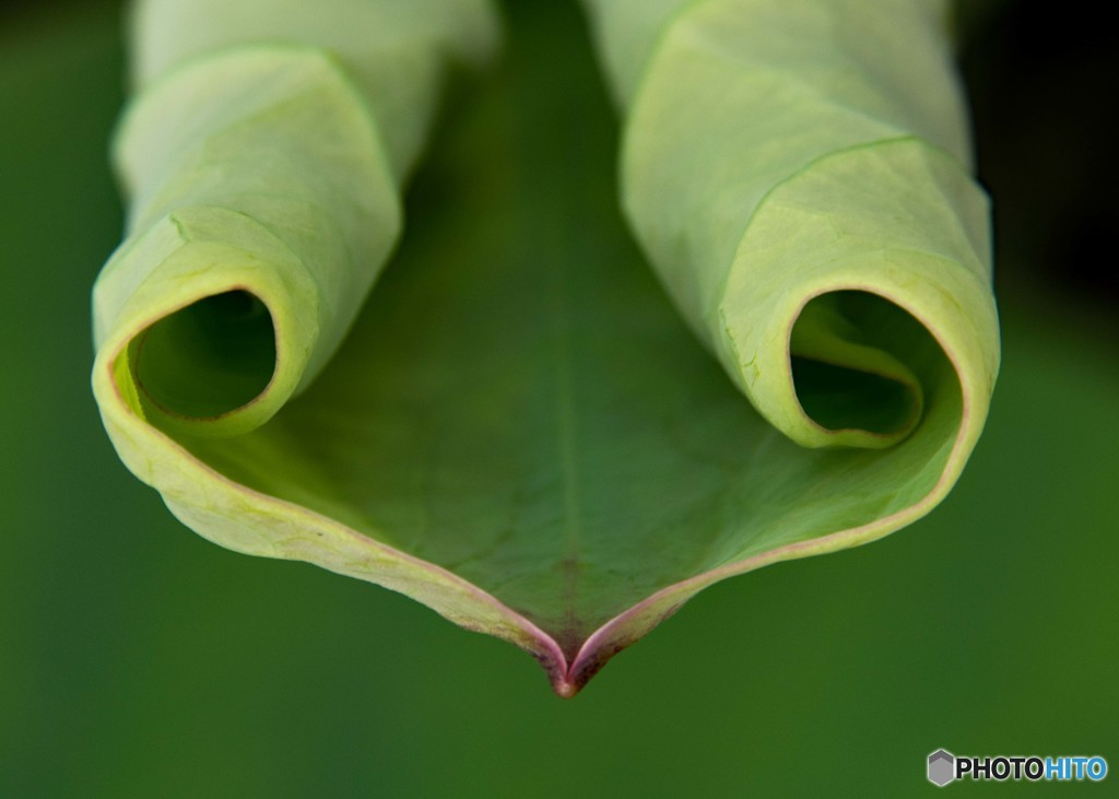 壊れたハートマーク