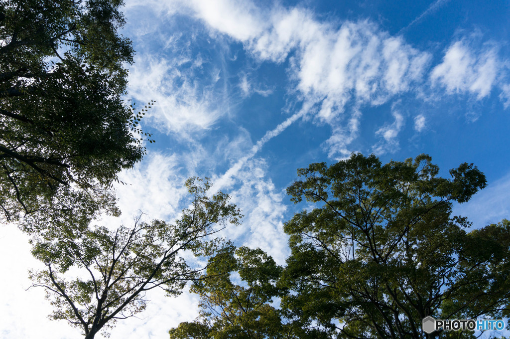 ９月の空