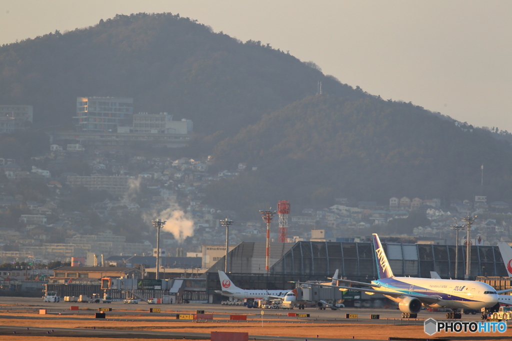 itami airport