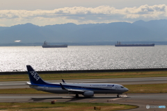 ANA機　～landing～