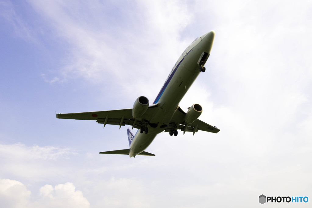 大空に羽ばたく♪